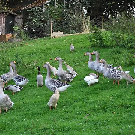 Jaegerklause Ξενοδοχείο