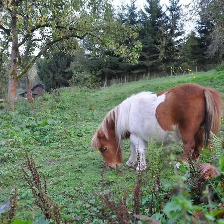 Jaegerklause Schmalkalden