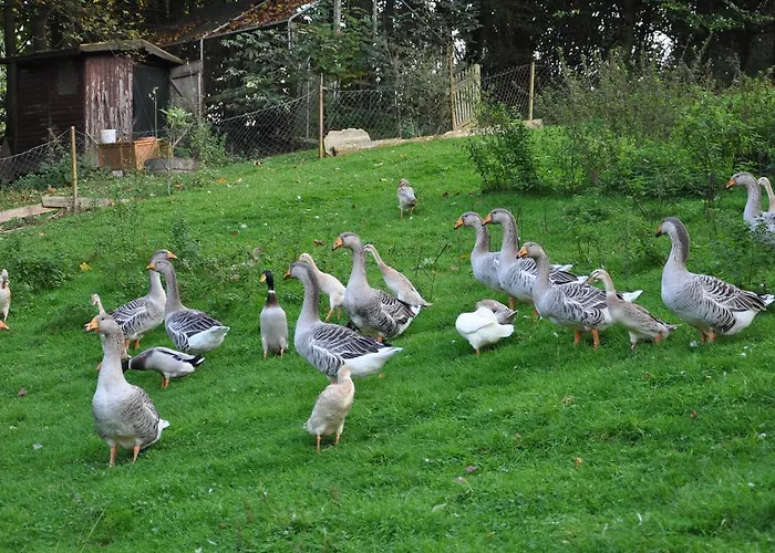 Jaegerklause מלון