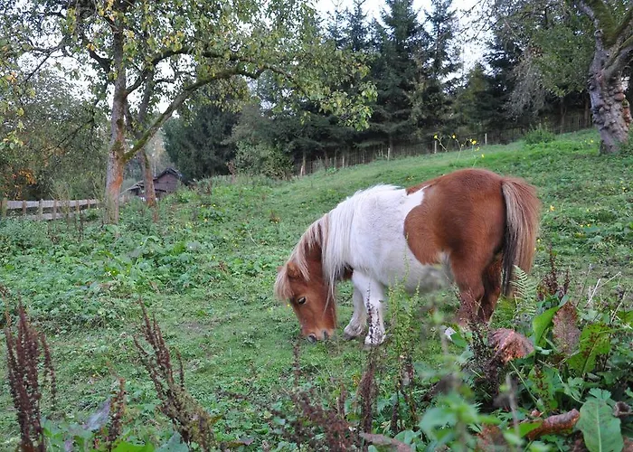 Jaegerklause Schmalkalden